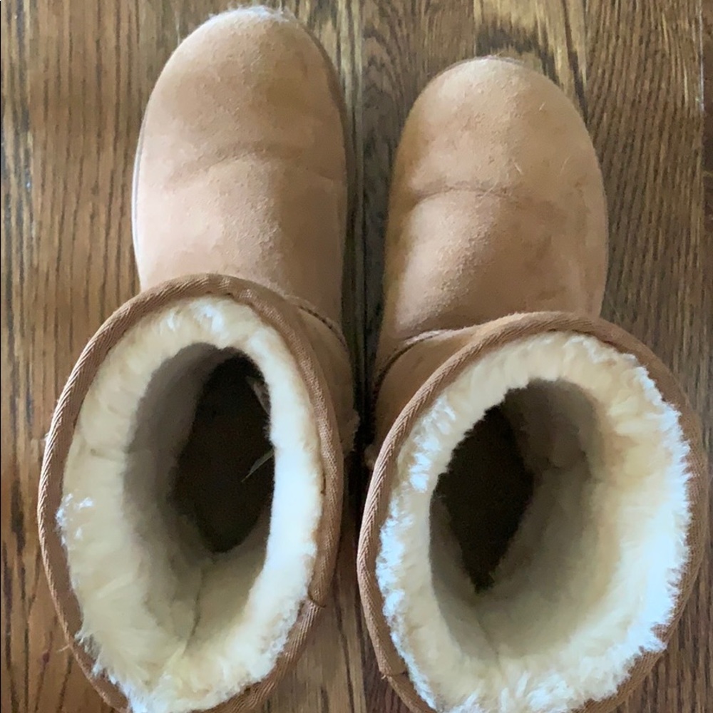 Chestnut Uggs - image 3